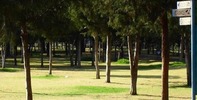 Parque natural el Llano